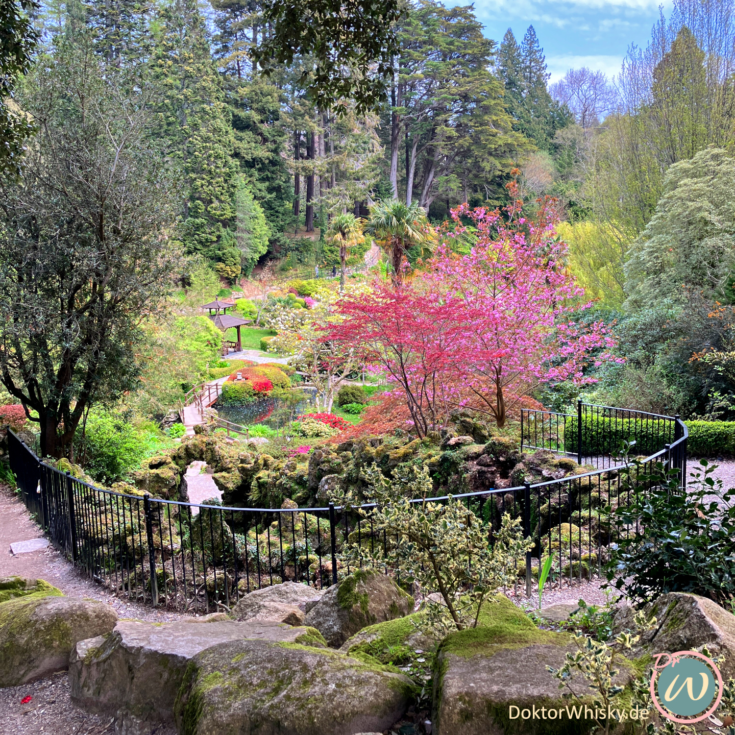 Powerscourt Japanese Garden